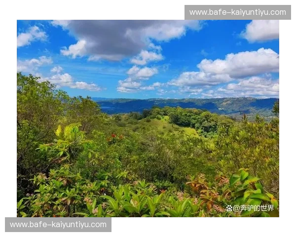 北纬59度的极光与赤道边缘的雨林:瑞典与哥斯达黎加的灵魂博弈 北纬59度的极光与赤道边缘的雨林:瑞典与哥斯达黎加的灵魂博弈